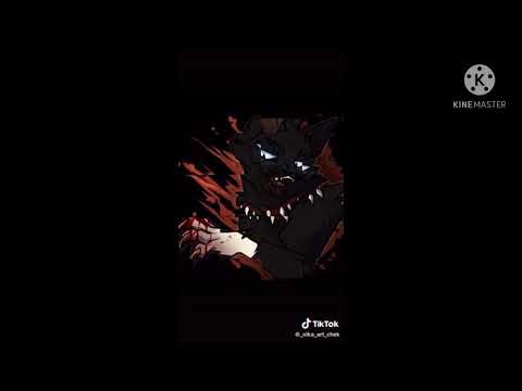 Видео: Коты воители из тик тока Бич 2