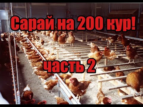 Видео: Курятник на 200 кур! Строю сарай на 200 кур несушек! Нюансы в строительстве! Главные мелочи! Поение