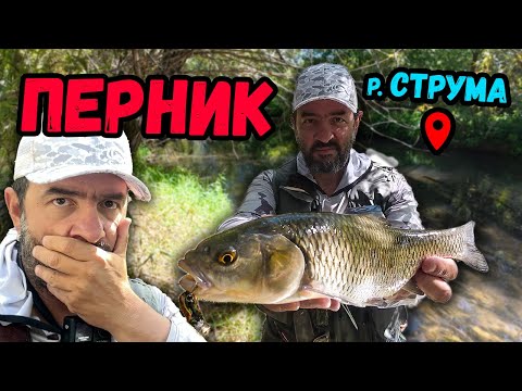 Видео: Риболов на КЕФАЛИ на р. Струма под гр. Перник