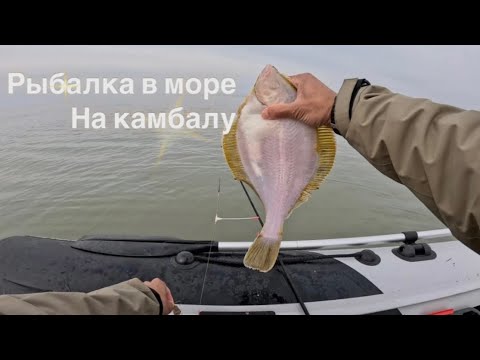 Видео: СУПЕР РЫБАЛКА!!! Камбала! Остров Сахалин!!!
