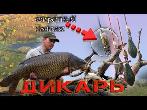 Видео: Дикарь. Монтаж и тактика для ловли в корягах. Личный и командный Биг Фиш. Карп 21 кг !!!