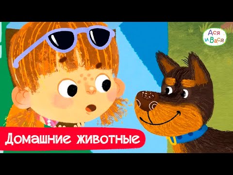 Видео: Домашние животные I Ася и Вася l мультфильмы для детей 0+