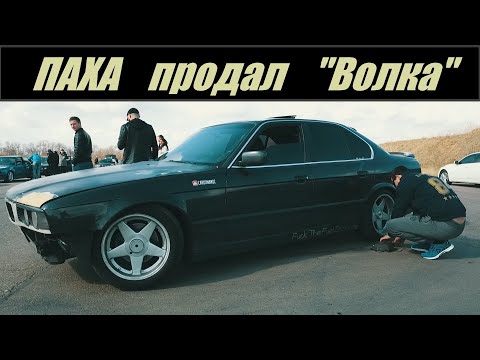 Видео: Баварский ВОЛК продан . Что случилось ?