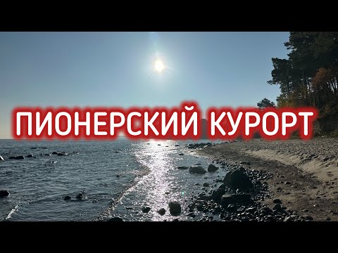 Видео: 🕊️Пионерский Курорт☀️ Калининград 🏰осень☀️🌊2024🥐☕️Путешествия🐈🧚🏻‍♀️Выходные 👒на Чили