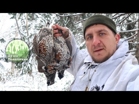 Видео: Охота по первому снегу. Секреты охоты на рябчиков. Сказочный зимний лес.