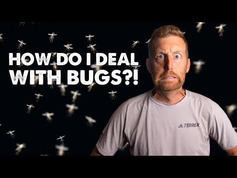 Видео: Защитите себя от комаров, клещей и насекомых во время кемпинга и пешего туризма: советы и рекомен...