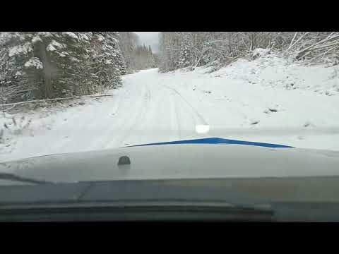 Видео: 25 октября 2025 г.