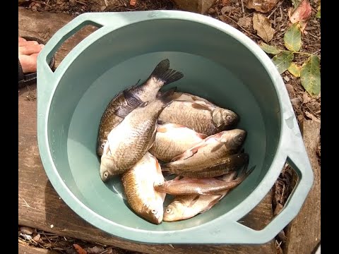 Видео: День рыбака