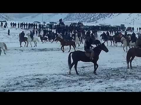 Видео: Бузкаши дар д.Овчи н. Деваштич