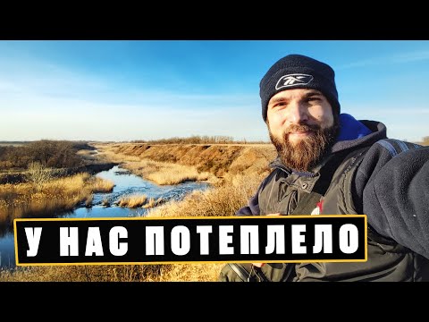 Видео: Природа выходит из зимней спячки, а река из берегов! Встретил весну в красивом месте!