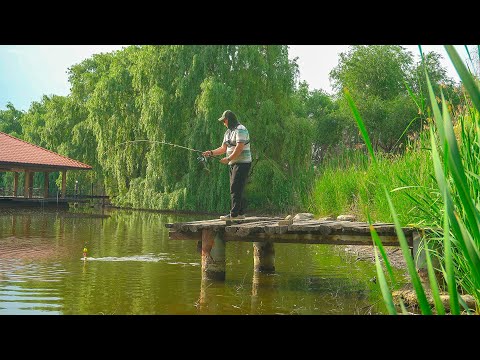 Видео: РЫБАЛКА АЛМАТЫ/ САМАЯ душевная рыбалка на ТОЛСТОЛОБА/ Поймал маленького толстолоба