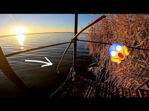 Видео: 🎣 ЛОВЛЮ МЕЛОЧЬ ПАКЕТАМИ! Паук + большое кольцо творят чудеса!