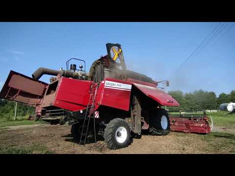 Видео: Второй день командировки