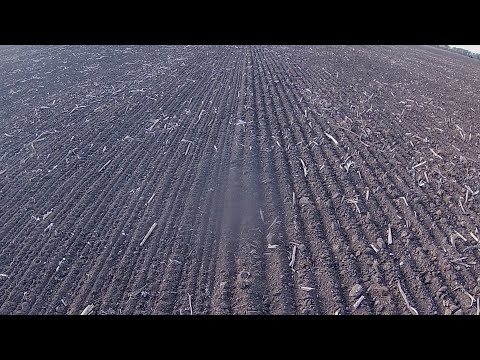 Видео: Прикатывание осенних посевов катками КЗК-10СК