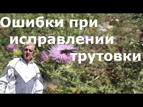 Видео: Ошибки при исправлении трутовочной семьи осенью.