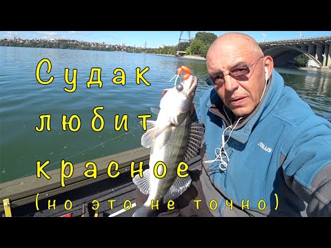 Видео: СУДАК на яркие приманки. Меня обурили летом.