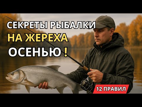 Видео: СЕКРЕТЫ РЫБАЛКИ НА ЖЕРЕХА ОСЕНЬЮ