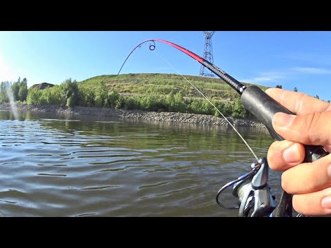 Видео: Нашли толпы рыбы под ЛЭП! Рыбалка на Волге после запрета