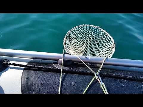 Видео: Морской карась  у берегов Евпатории рыбалка с лодки июнь 2018