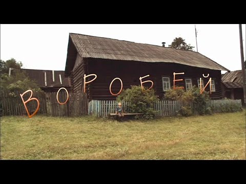 Видео: Художественный фильм «Воробей» | Реж. Ю. Шиллер (Dir. by Y. Shiller) | «The Sparrow» Movie [eng sub]