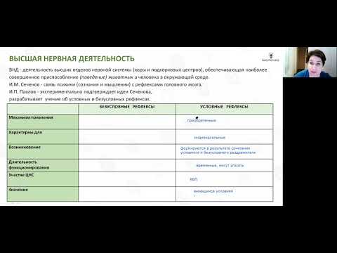 Видео: Лекция 41  ВНД