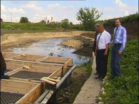 Видео: Рыбак Рыбаку 077 "Рыбное хозяйство".