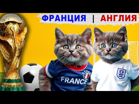 Видео: 33 КОТЁНКА - КОШАЧИЙ ФУТБОЛ! КУБОК МИРА СРЕДИ КОТЯТ НА РУССКОМ ЯЗЫКЕ ИГРА #4 ФРАНЦИЯ - АНГЛИЯ