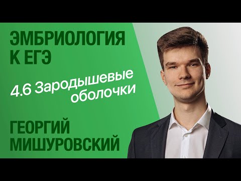 Видео: 4.6. Зародышевые оболочки | Цитология к ЕГЭ | Георгий Мишуровский