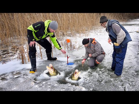 Видео: ТАКАЯ РЫБАЛКА БЫВАЕТ РАЗ в ГОДУ... 10 ЖЕРЛИЦ и 50 СРАБОТОК!!! ПОПАЛИ на ТРОПУ ЩУКИ