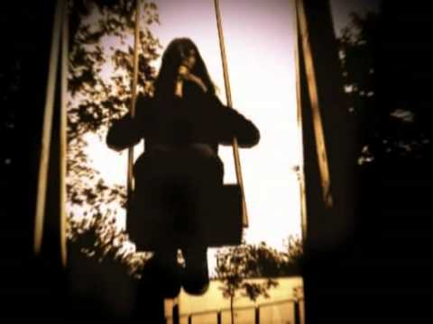 Видео: Шмели   Зверь