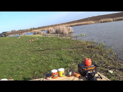 Видео: Змучився тягати рибу. Став Берем'яни