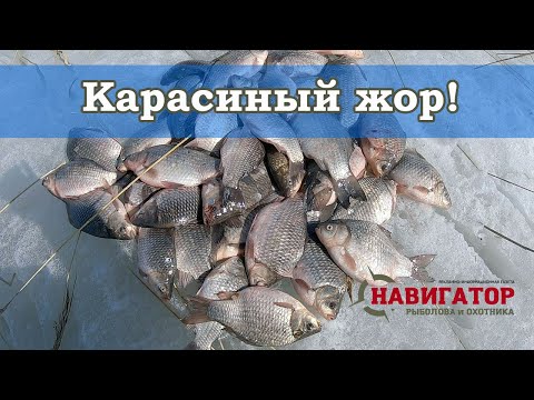 Видео: Ловля крупного карася по последнему льду. Рыбалка 2020