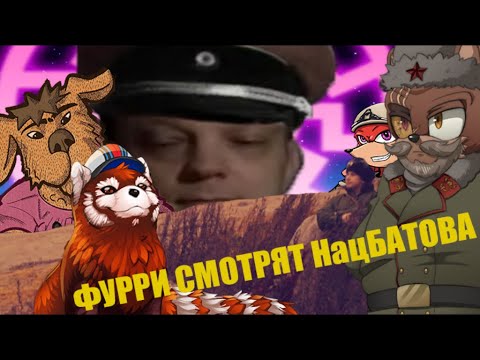 Видео: Фурри смотрят НацБатова и Константина Семина