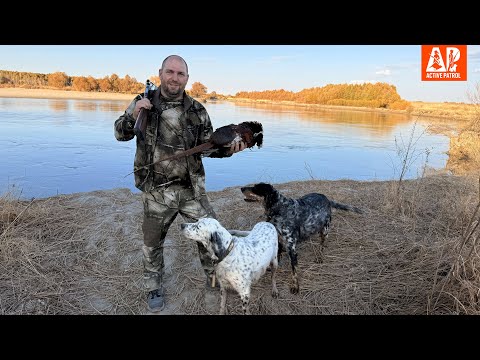 Видео: Фазан в степи Казахстана. Охота с подхода