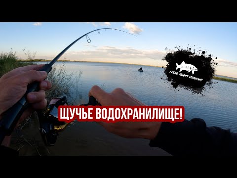 Видео: ЩУКА НА КАЖДОМ ЗАБРОСЕ! Щучье водохранилище #рыбалка2025 #рыбалкаастана