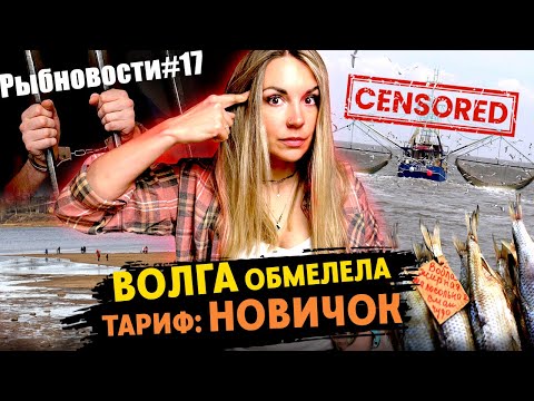 Видео: РЫБНОВОСТИ №17 ВОЛГА ПЕРЕСЫХАЕТ!!! ТОННЫ РЫБЫ ПО НАУЧНОЙ ЛИЦЕНЗИИ... 6 ЛЕТ РЫБИНСПЕКТОРУ