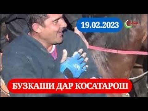Видео: БУЗКАШИ ДАР КОСАТАРОШ. 19.02.2023