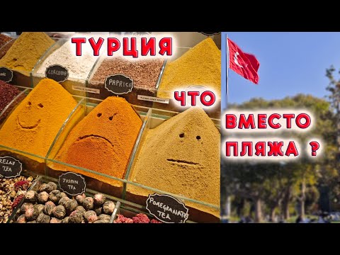 Видео: Откровенно о стоматологии в Турции. Где бесплатно погулять в Стамбуле Dentistry in Turkey