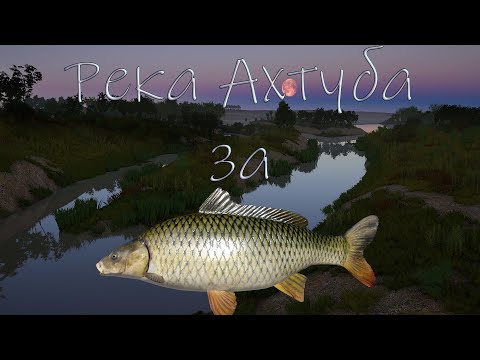 Видео: Река Ахтуба. Русская рыбалка 4 ( сазан есть ?)
