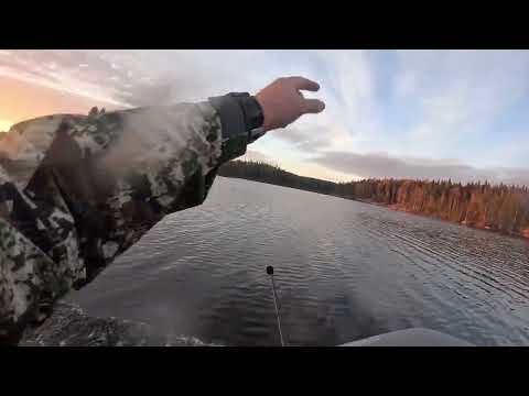 Видео: Трудовая осенняя рыбалка. Каменогорск.