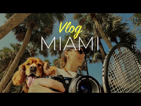 Видео: ВЛОГ#3 Первый полет с собакой, Съемки, Теннис, Итальянская вилла