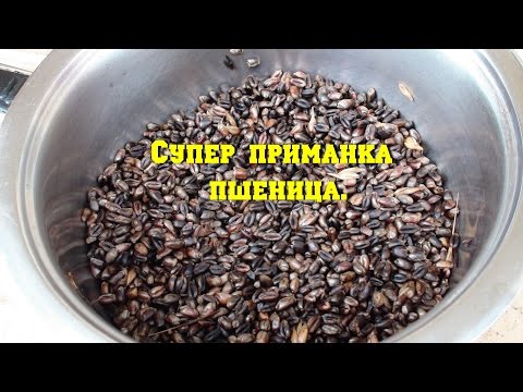 Видео: Приманка.Карась, плотва, карп.