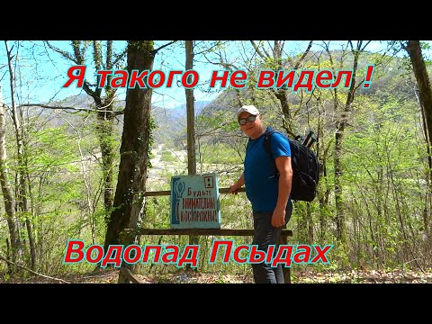 Видео: Я такого не видел ! Водопад Псыдах.