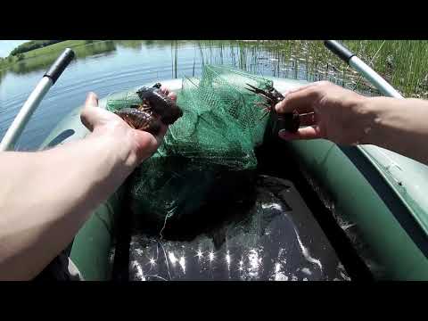 Видео: Ловля раков весной 2019 Рыбалка на китайские раколовки ..Битва двух наживок.