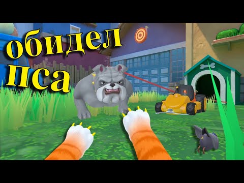 Видео: КОТ ОБИЖАЕТ ПСА