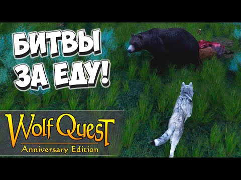 Видео: Столкновение с медведем! WolfQuest: Anniversary Edition #14