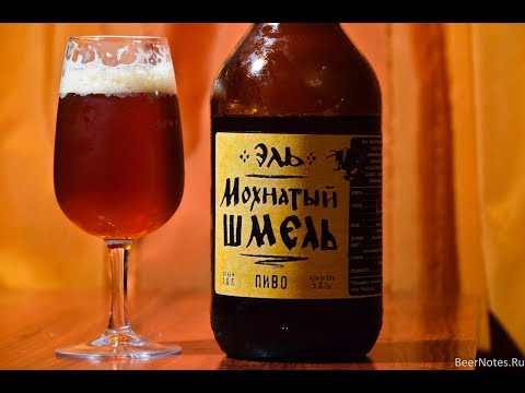 Видео: ВАРИМ ПИВО "ЭЛЬ-МОХНАТЫЙ ШМЕЛЬ" на iBrew 40 auto+ДЕГУСТАЦИЯ ПИВА "ПОРТЕР"#13