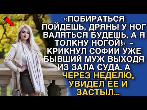 Видео: «ПОБИРАТЬСЯ ПОЙДЕШЬ, ДРЯНЬ! У НОГ ВАЛЯТЬСЯ БУДЕШЬ, А Я ТОЛКНУ НОГОЙ!» - КРИКНУЛ СОФИИ УЖЕ БЫВШИЙ МУЖ