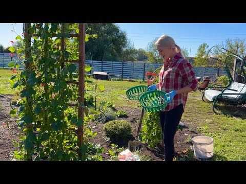 Видео: НАСТОЯЩАЯ ЖИЗНЬ В ДЕРЕВНЕ/ДОДЕЛАЛИ ОТМОСТКУ/ПОСАДИЛА ТЮЛЬПАНЫ И ПОДГОТОВИЛА ГРЯДКУ ПОД ЧЕСНОК