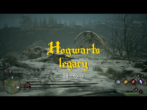 Видео: Hogwarts legacy. #28 Задание: Потомство самой смерти и Возьмите печеньку